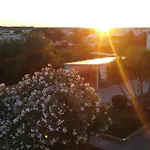Antica Masseria Pescu Отель типа 